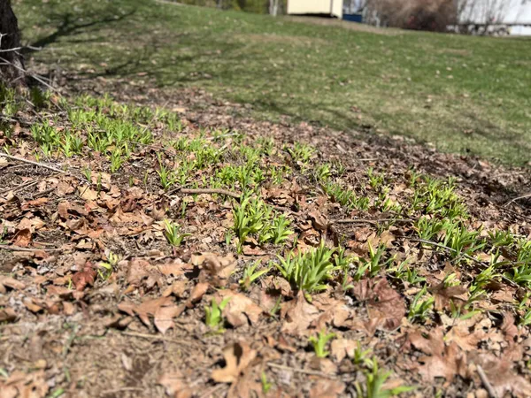 $155,000 | 87 Monroe Highway, Brooks, ME 04921