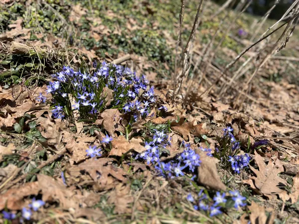 $155,000 | 87 Monroe Highway, Brooks, ME 04921