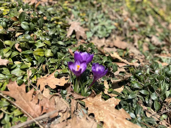 $155,000 | 87 Monroe Highway, Brooks, ME 04921