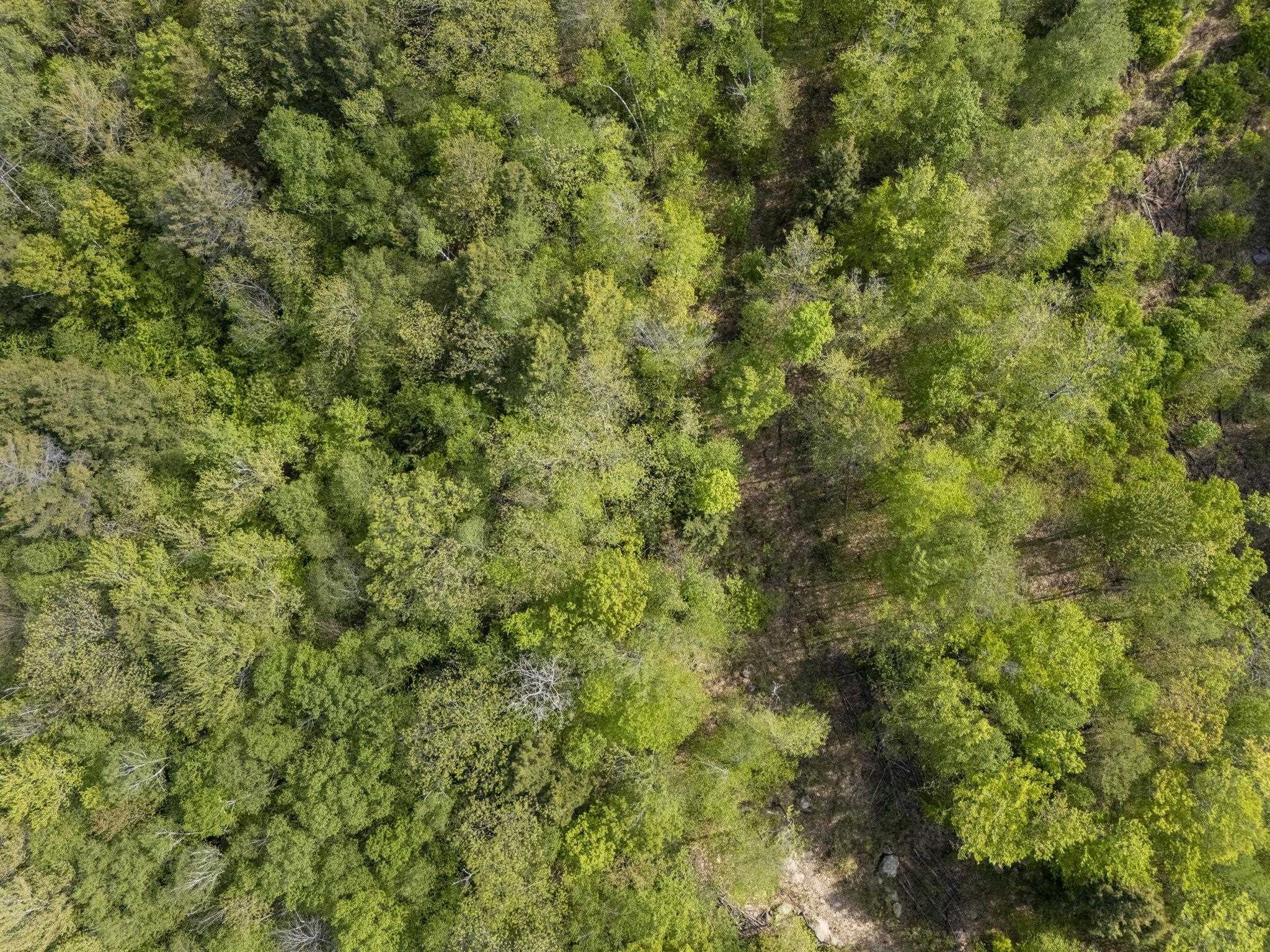 0 Loyd Lane Harrisville, NH 03450 - Photo 5 of 17