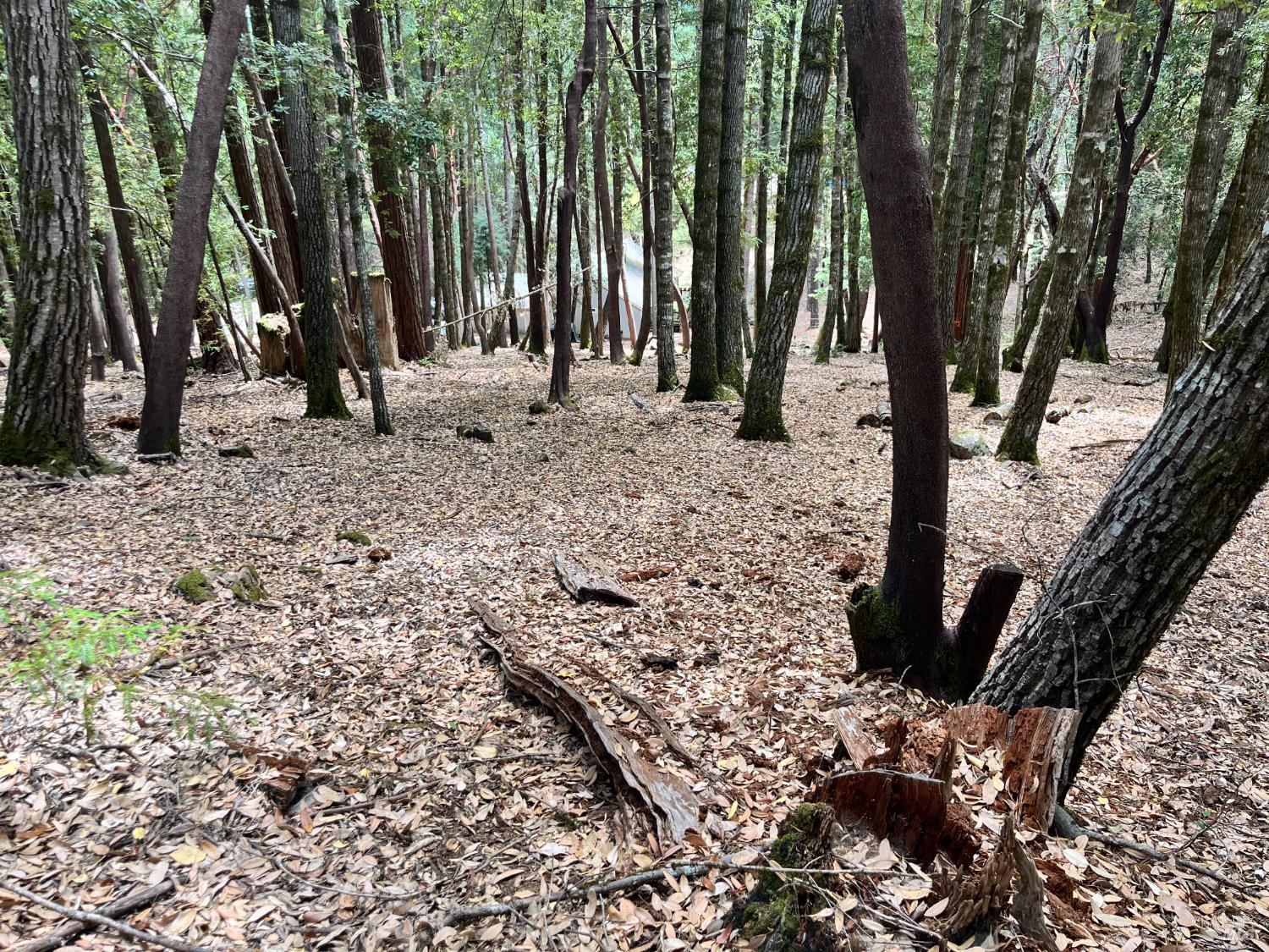 23649 Ridge Road Willits, CA 95490 - Photo 6 of 6 a view of outdoor space with sink