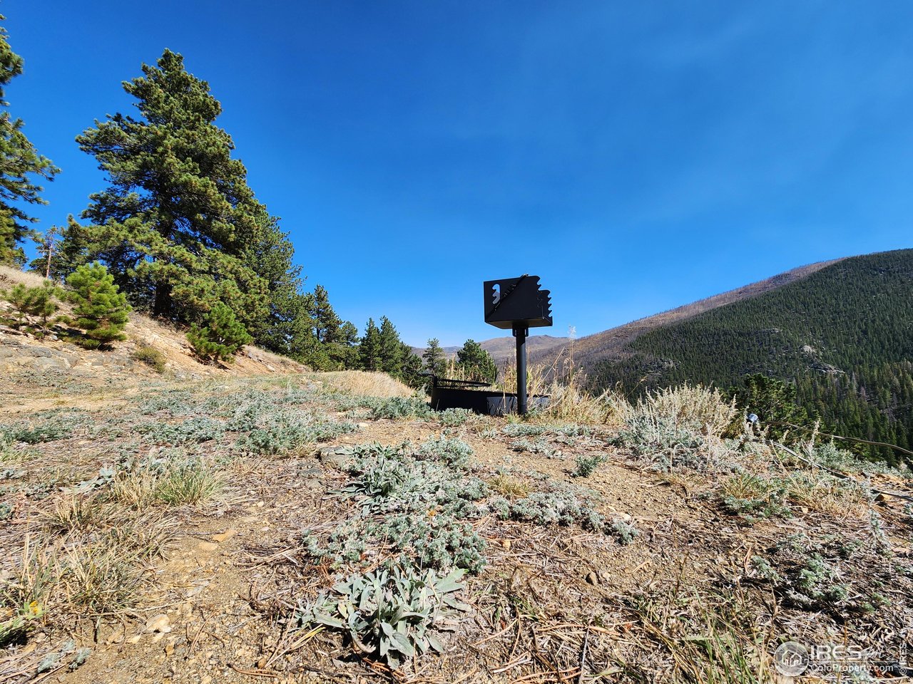 13729 Pingree Park Road Bellvue, CO 80512 - Photo 12 of 29 a view of a backyard of the house