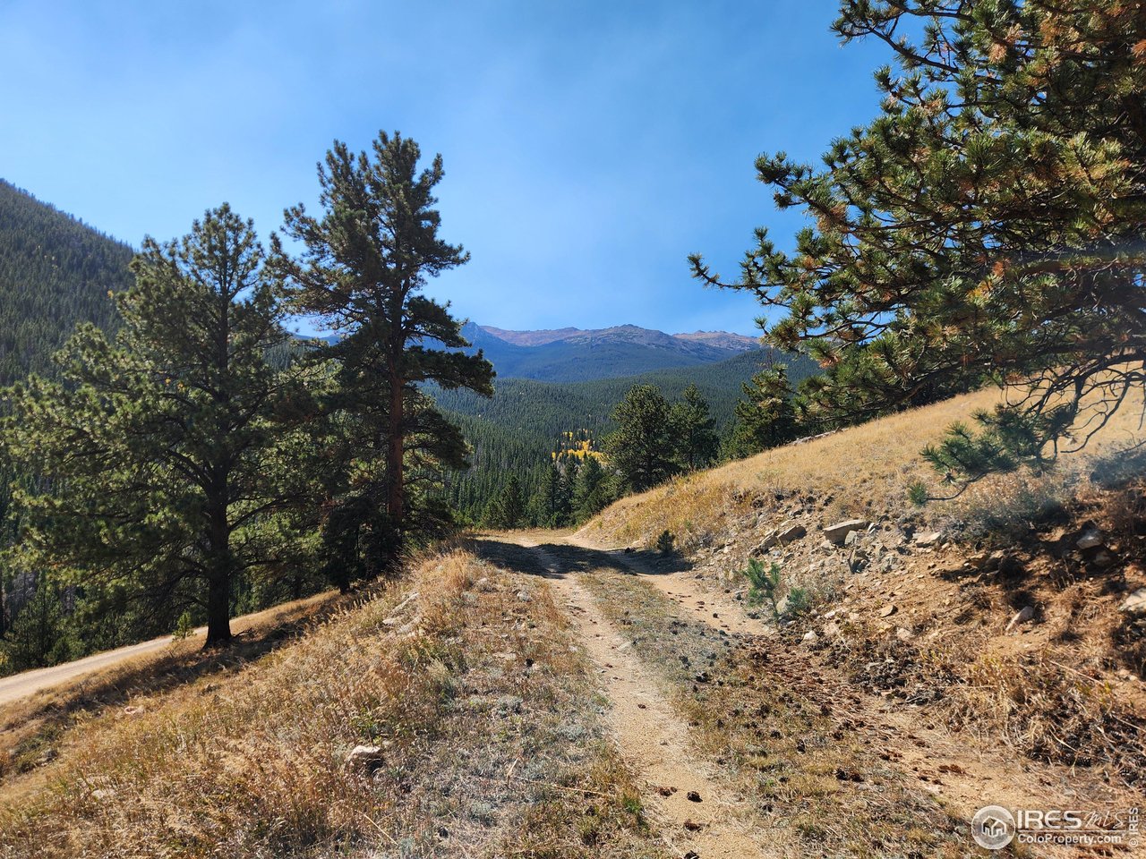 13729 Pingree Park Road Bellvue, CO 80512 - Photo 15 of 29 a view of a dry yard with mountains in the background