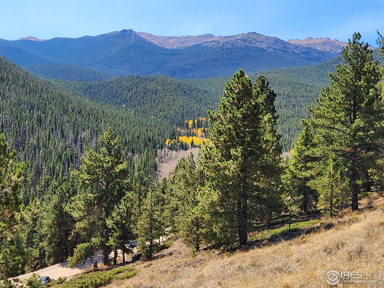 13729 Pingree Park Road Bellvue, CO 80512 - Photo 16 of 29 a view of a lush green field with mountains in the background