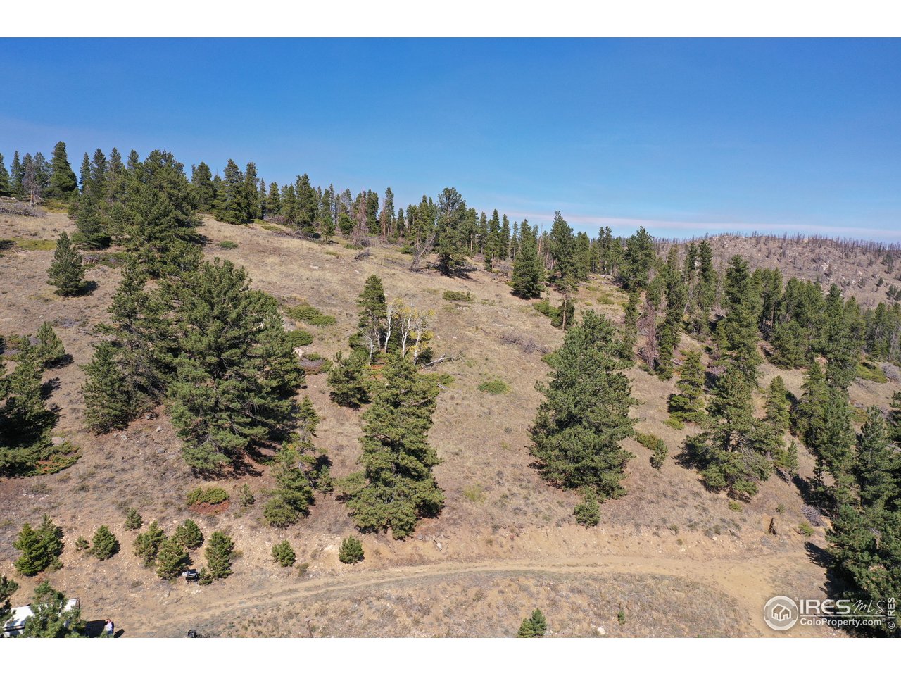 13729 Pingree Park Road Bellvue, CO 80512 - Photo 23 of 29 a view of a yard with sunset view