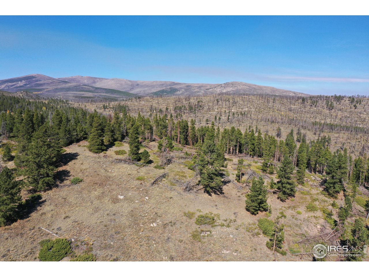 13729 Pingree Park Road Bellvue, CO 80512 - Photo 28 of 29 a view of a dry yard with mountains in the background
