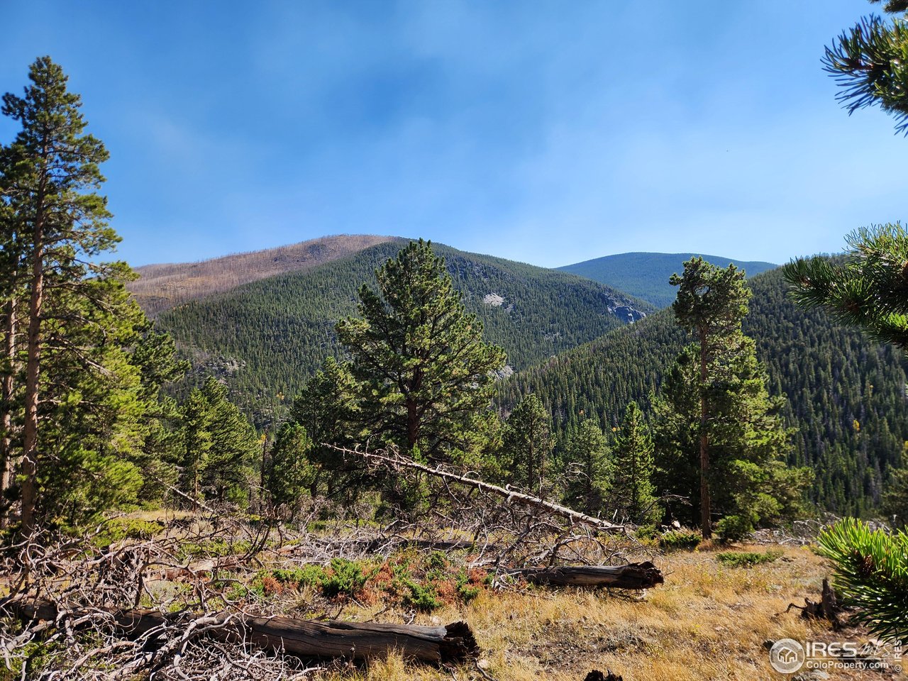 13729 Pingree Park Road Bellvue, CO 80512 - Photo 4 of 29