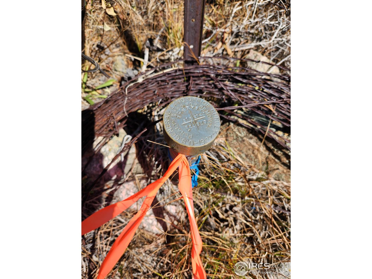 13729 Pingree Park Road Bellvue, CO 80512 - Photo 9 of 29 a picture of a bathroom with a sink and a mirror