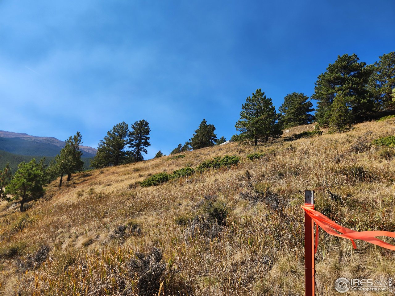 13729 Pingree Park Road Bellvue, CO 80512 - Photo 10 of 29 a view of a houses with a yard