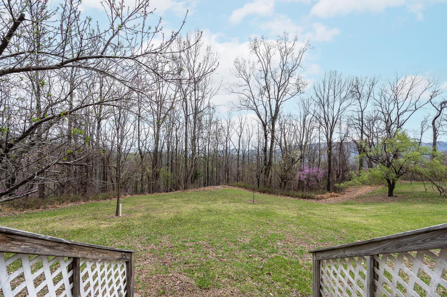 4400 Murray Hollow Road Thaxton, VA 24174 - Photo 49 of 56 a view of a backyard