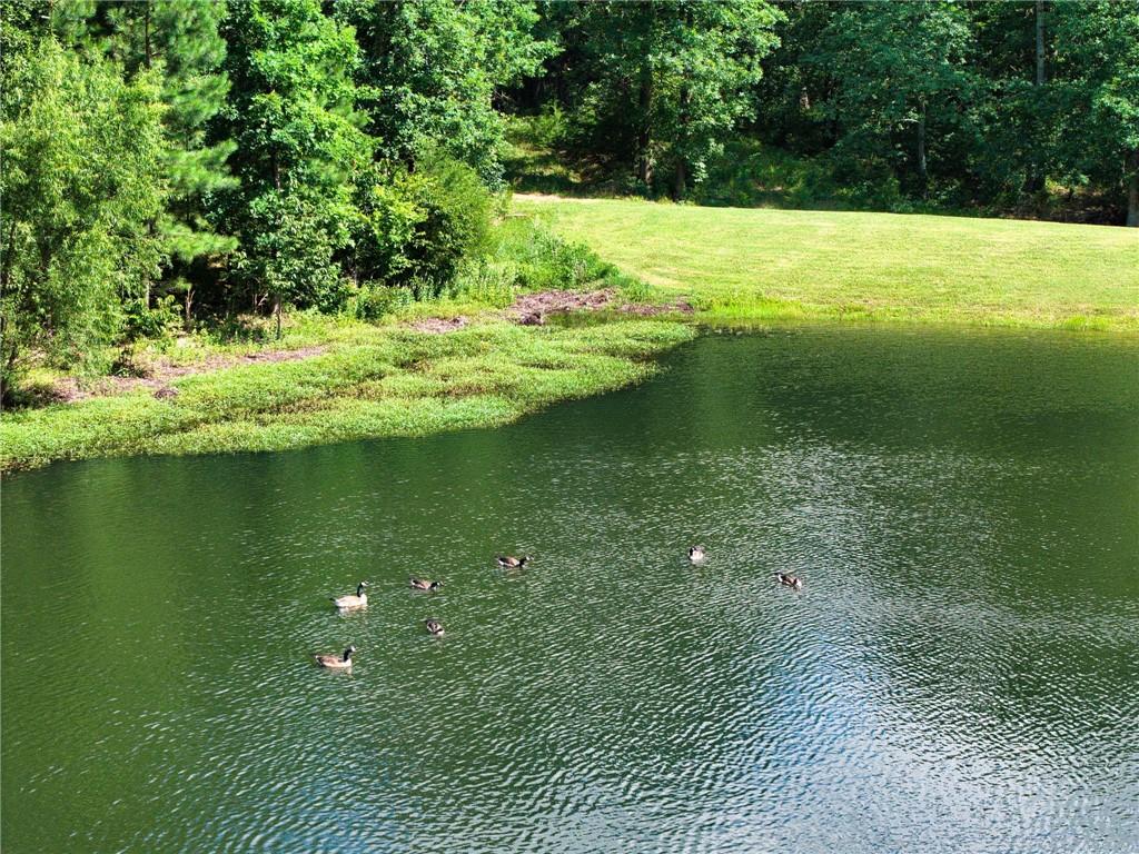 21019 Carter Road West Fork, AR 72774 - Photo 15 of 49 Natural pond with lush green surroundings and wooded backdrop