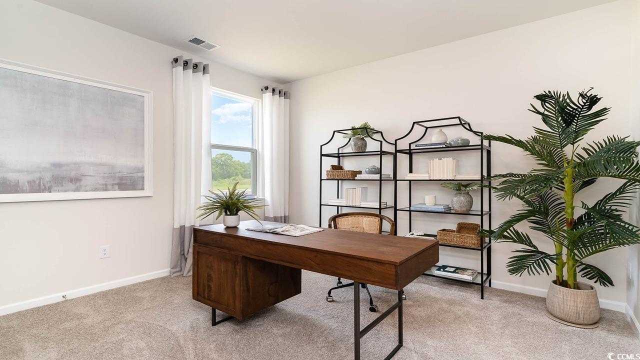 301 Cheerful Way Little River, SC 29566 - Photo 14 of 20