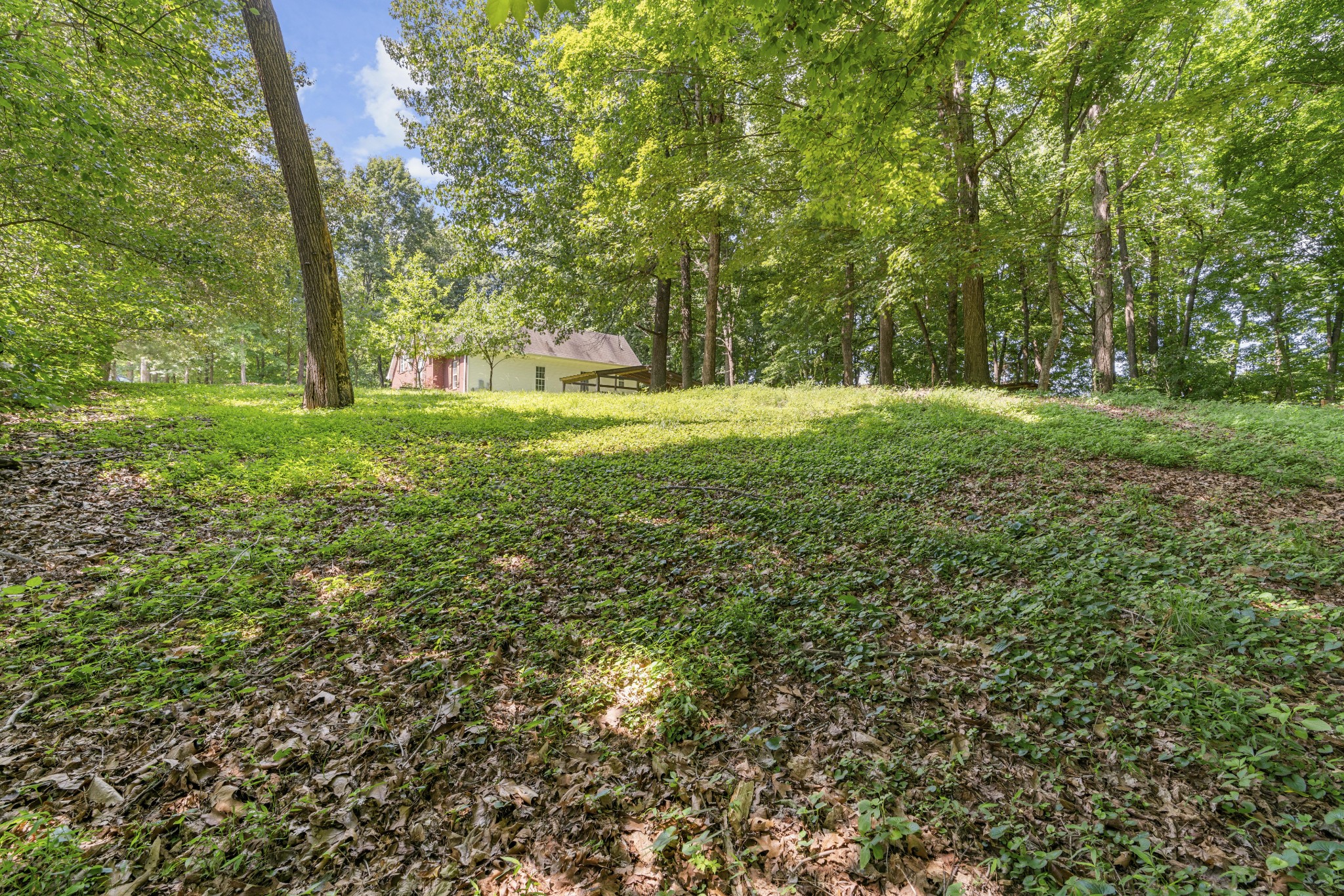 7339 Chowning Road Springfield, TN 37172 - Photo 52 of 57