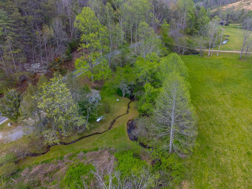 1303 Atoah Road Robbinsville, NC 28771 - Photo 55 of 62