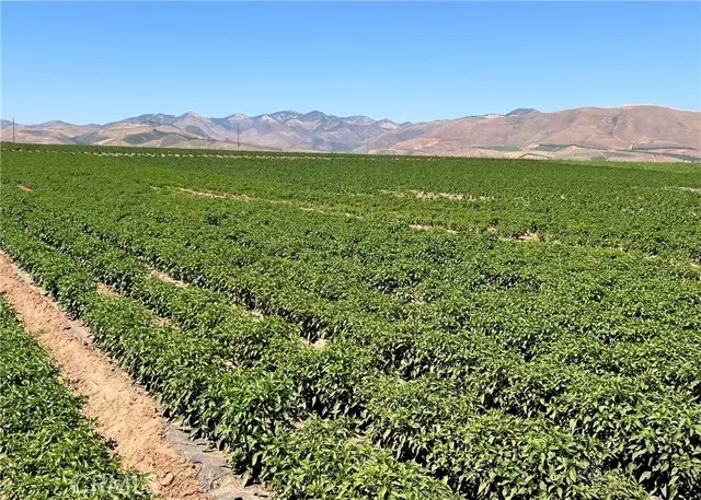 a view of a town with mountains in the background