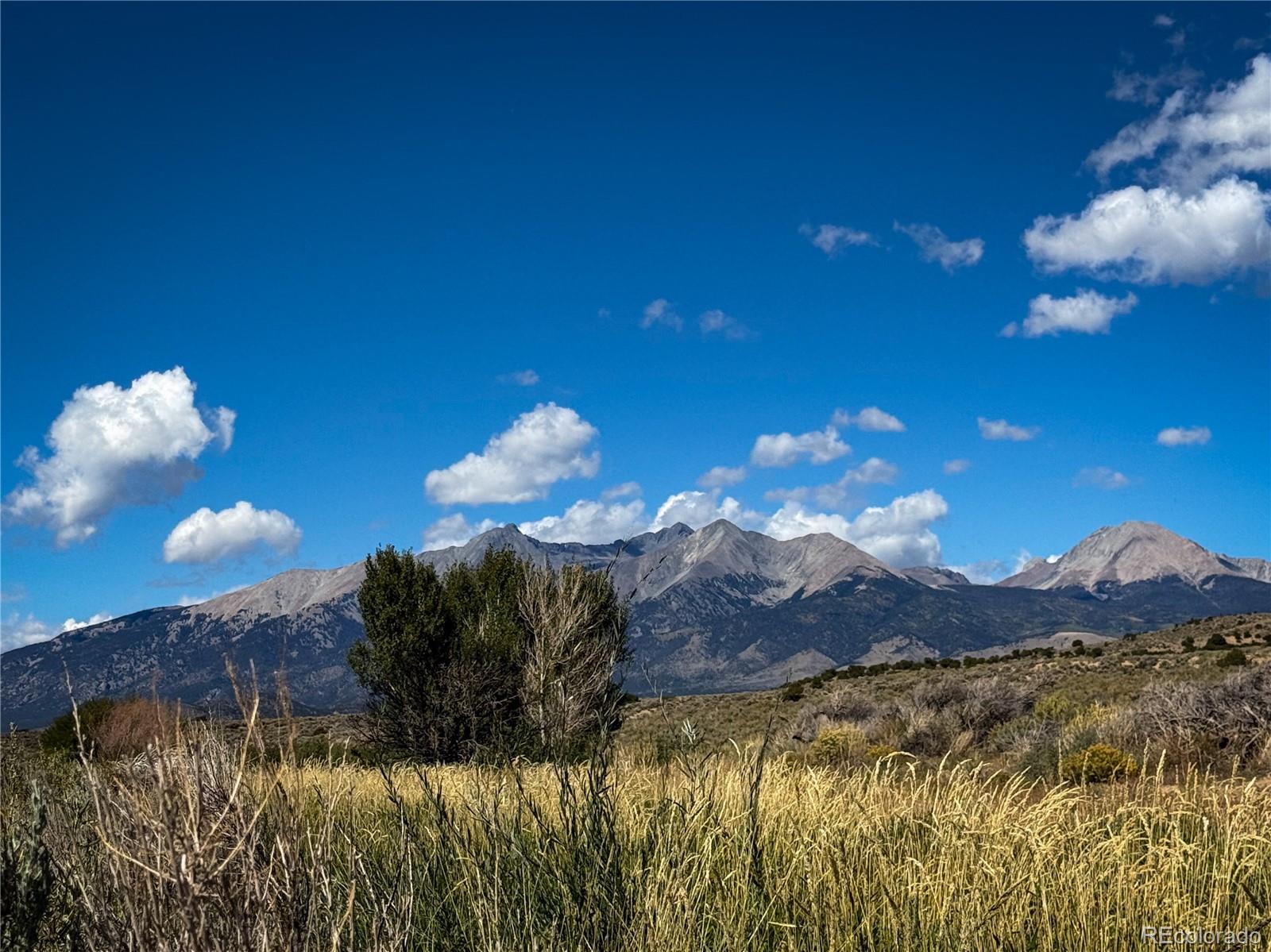 a view of a with a big yard