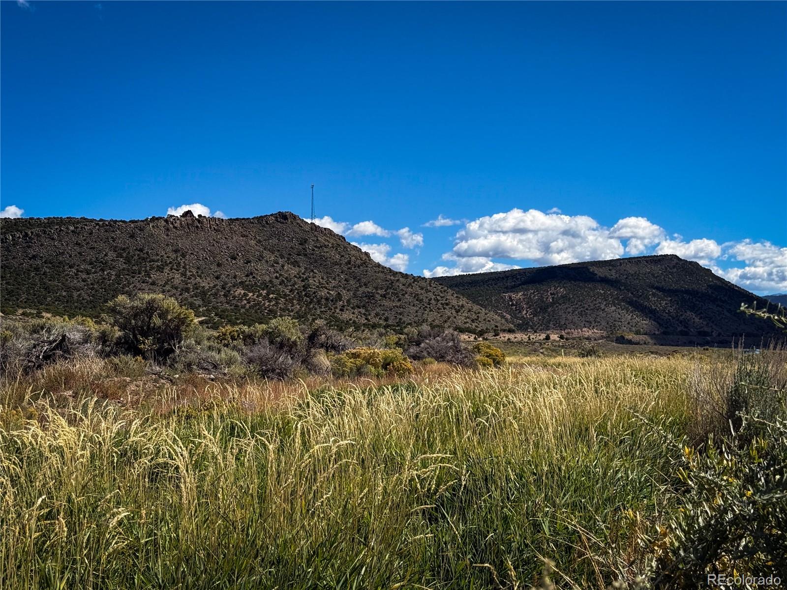0 Herbert Road Fort Garland, CO 81133 - Photo 6 of 12 a view of a large tree with a yard