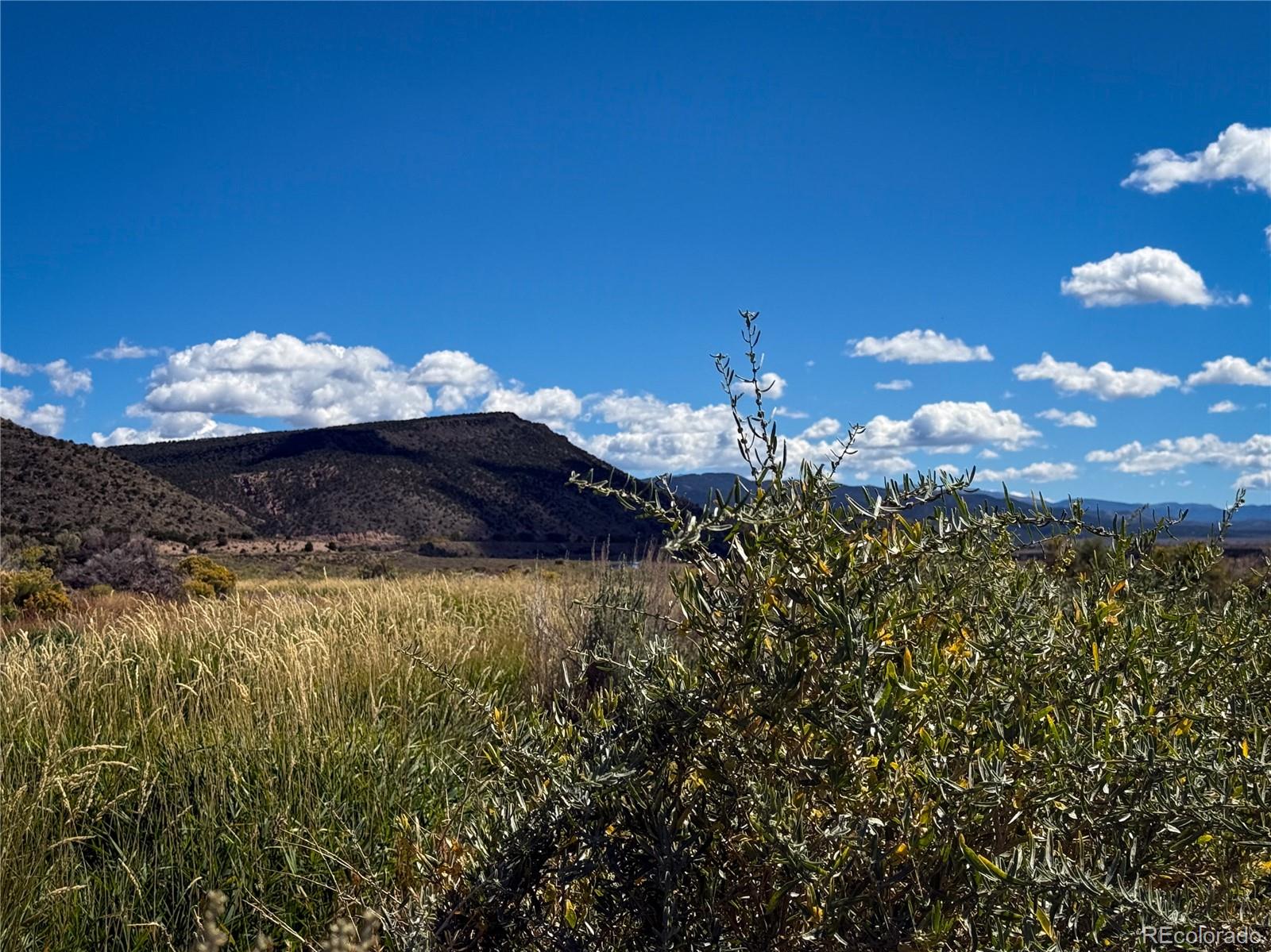 0 Herbert Road Fort Garland, CO 81133 - Photo 7 of 12 a view of a big yard of the house
