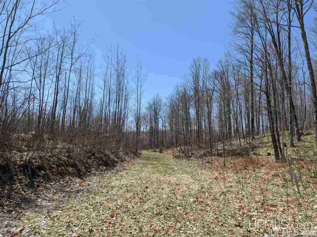 Tbd Off Leeman Road, Unit SENW NESW Sagola, MI 49881 - Photo 8 of 18
