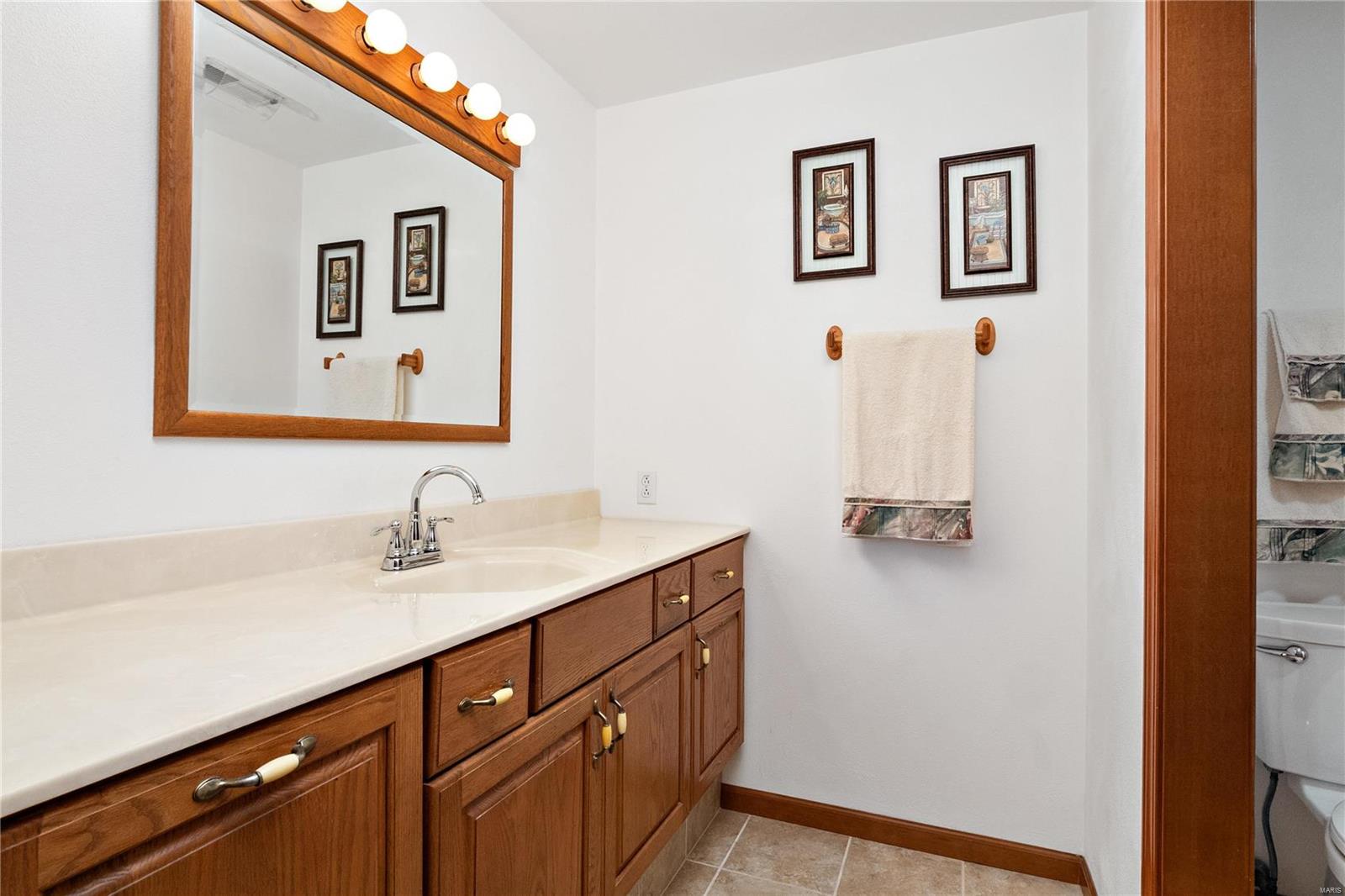 9512 Schaller Road Lenzburg, IL 62255 - Photo 39 of 52 Gallery Image 39