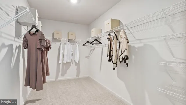 a view of walk in closet with clothes