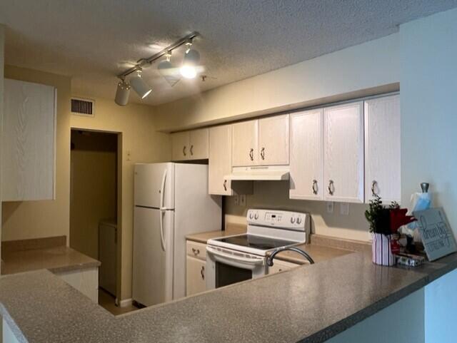 7848 Sonoma Springs Circle, Unit 202 Lake Worth, FL 33463 - Photo 4 of 16 a kitchen with a refrigerator and a sink