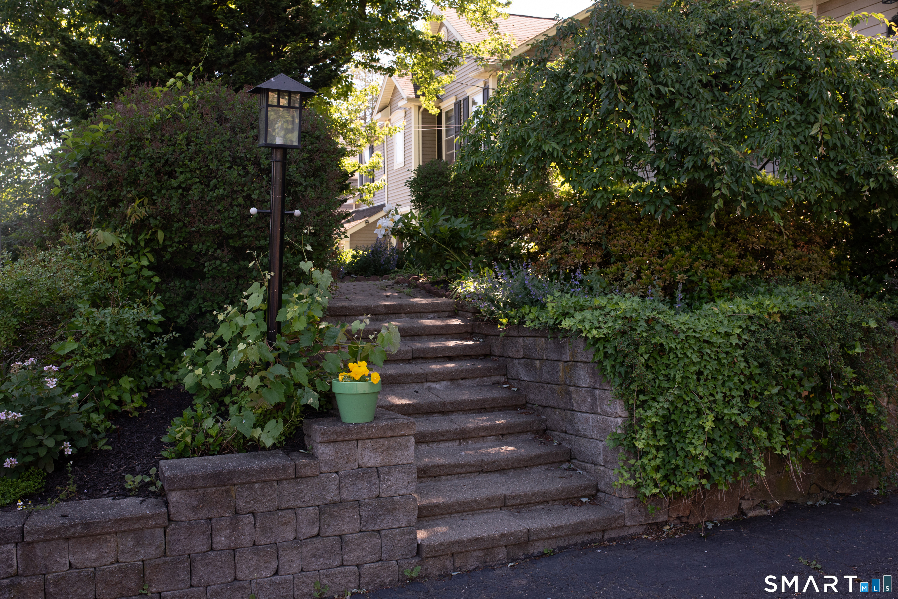781 Tunxis Hill Road Fairfield, CT 06825 - Photo 2 of 20 Stairs going to walkway, flowering plants and front door