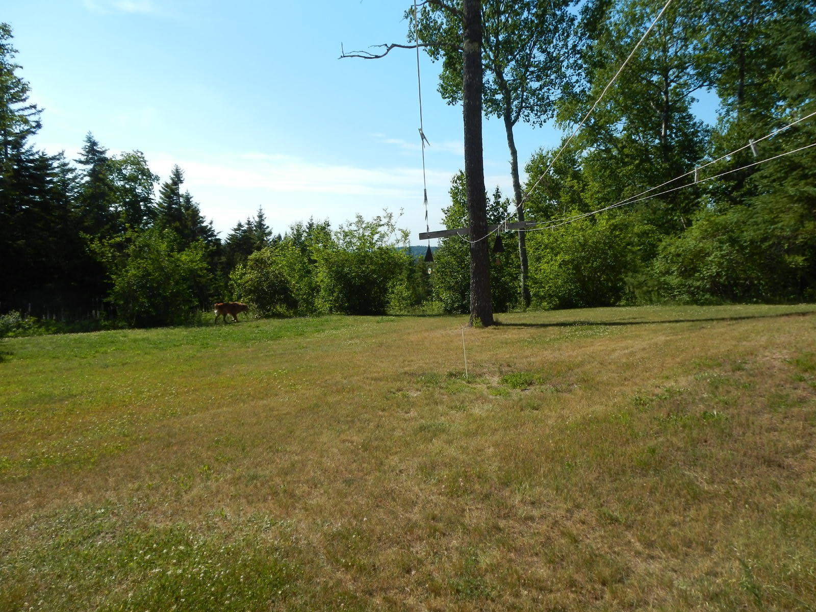 46 Fuller Road Sorrento, ME 04677 - Photo 26 of 45 Back yard