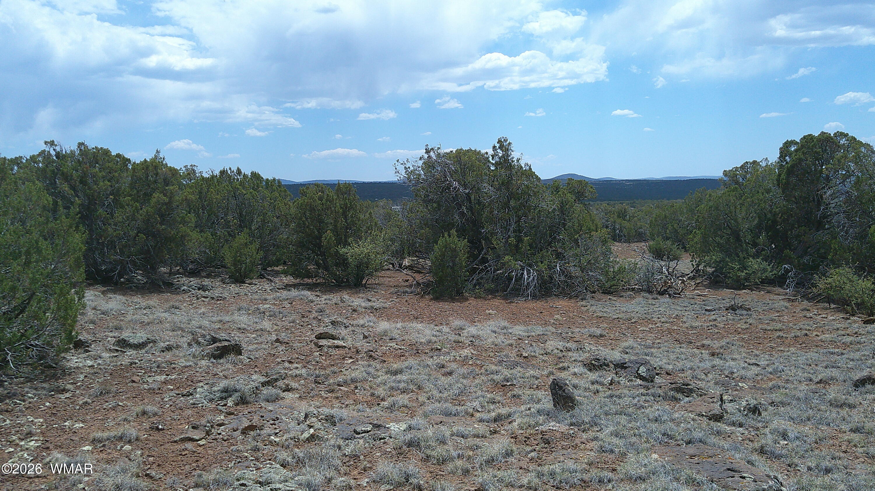 74 Co Road Concho, AZ 85924 - Photo 7 of 11 DSCF0005