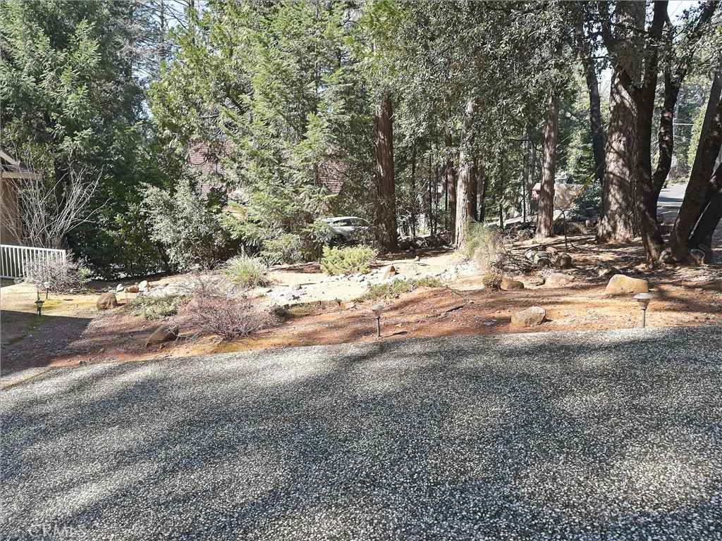 14279 Carnegie Road Magalia, CA 95954 - Photo 36 of 38 a view of dirt yard with a large tree