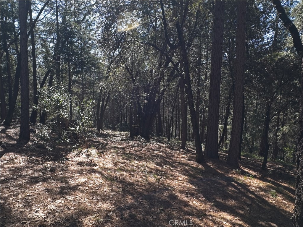 14279 Carnegie Road Magalia, CA 95954 - Photo 38 of 38 a view of a forest with trees