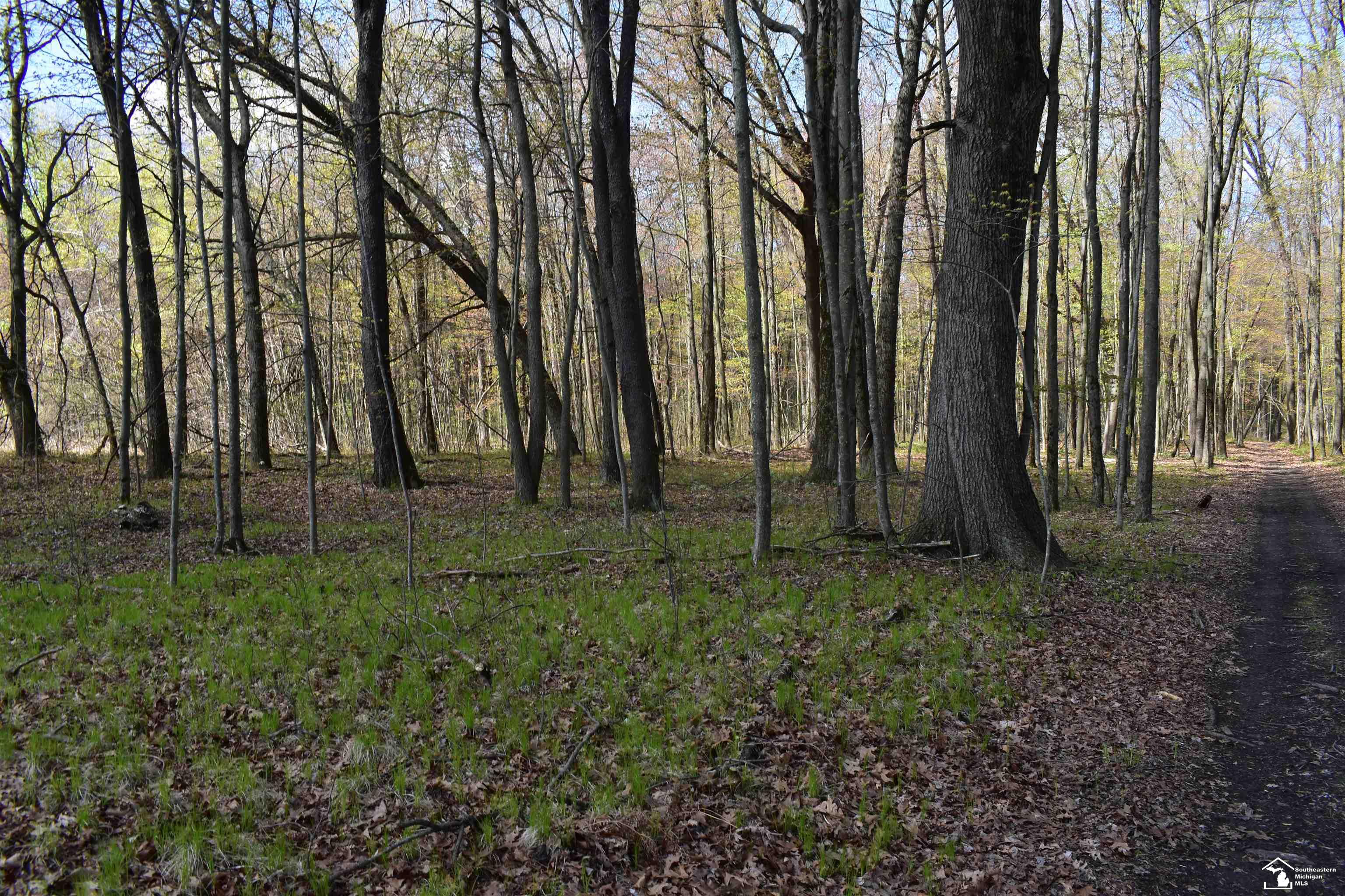 1 Tuttle Hill Road Milan, MI 48160 - Photo 16 of 18