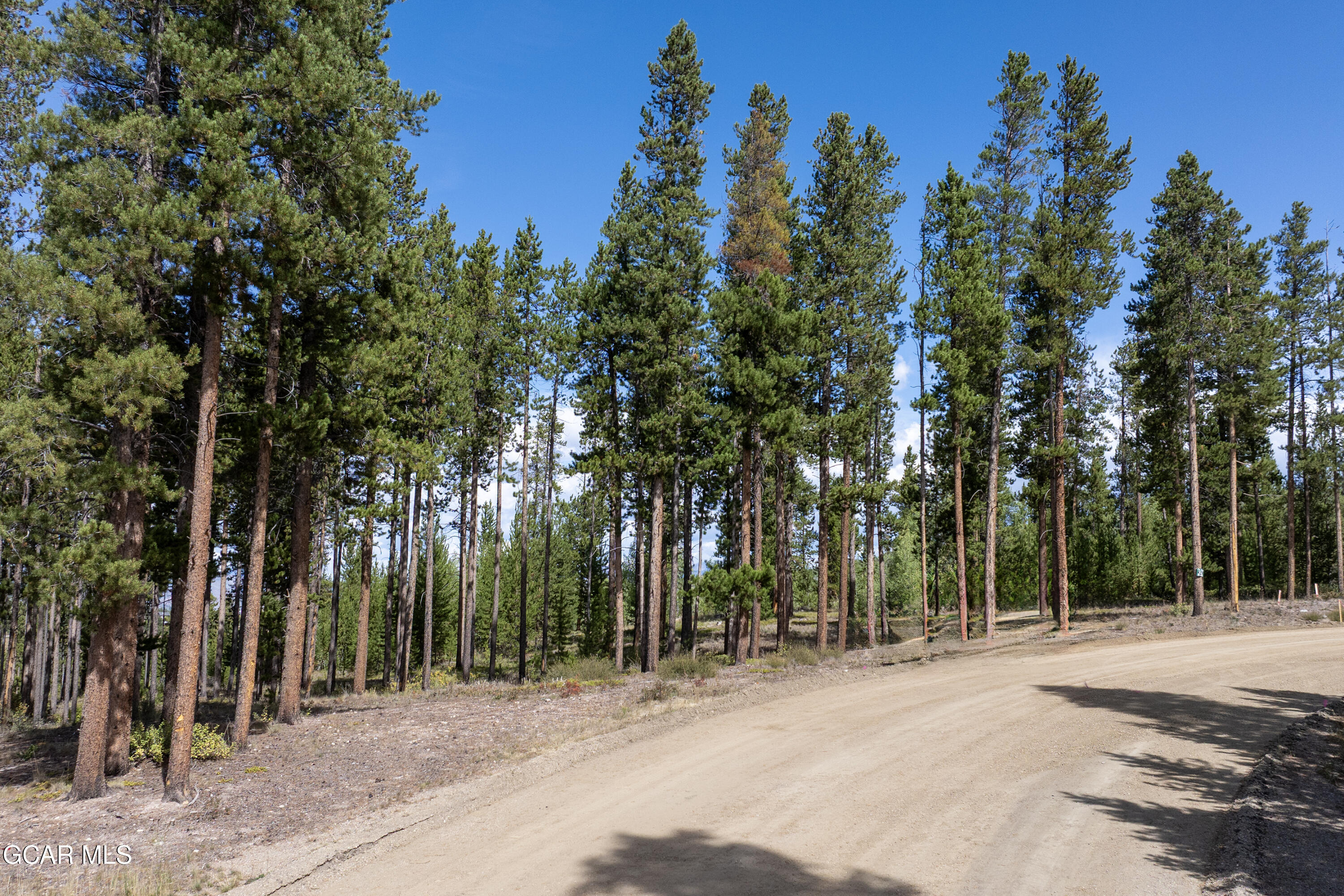 2376 Gcr 511/golf Course Circle Tabernash, CO 80478 - Photo 3 of 14 a backyard of a house with trees