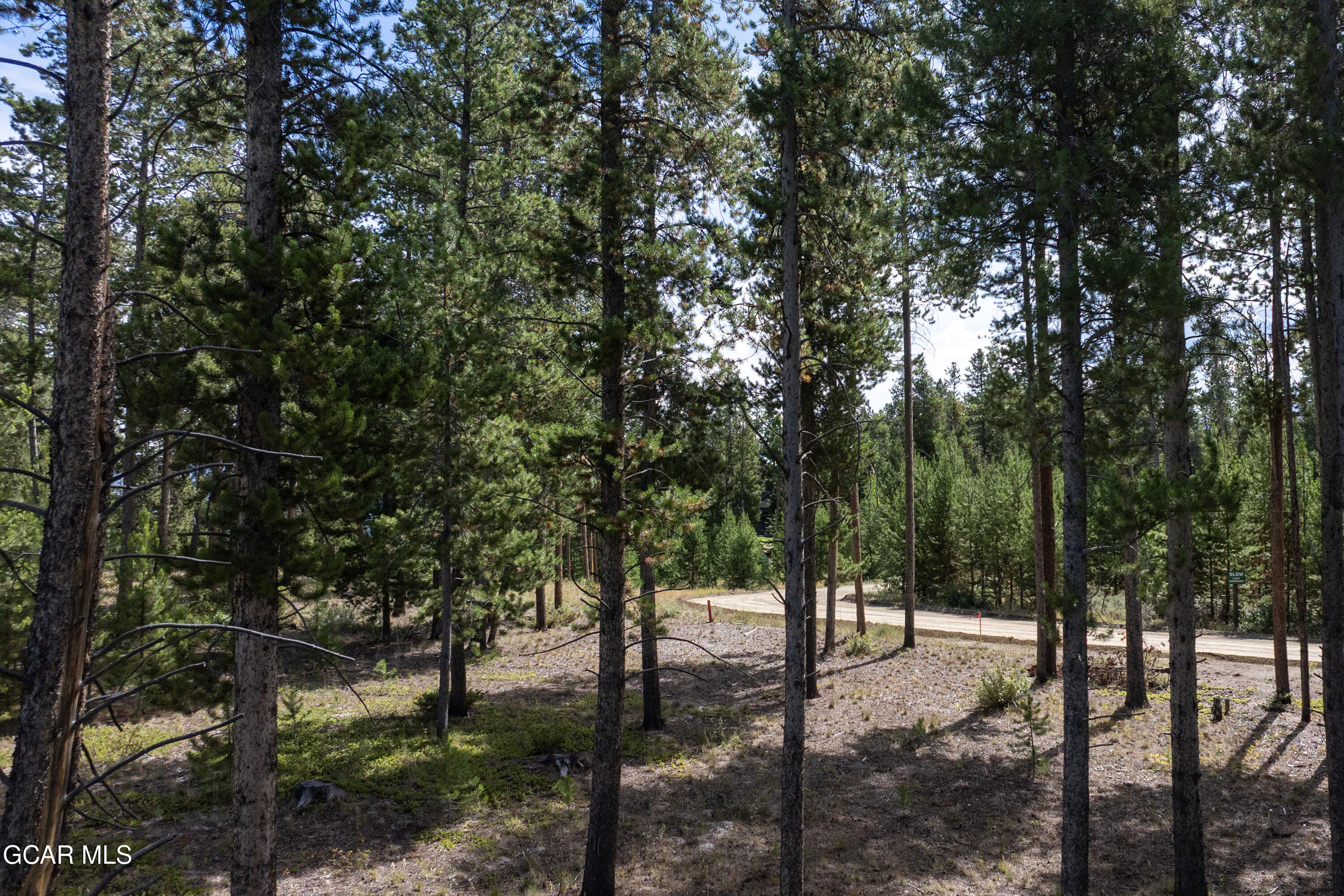 2376 Gcr 511/golf Course Circle Tabernash, CO 80478 - Photo 4 of 14 a view of a forest