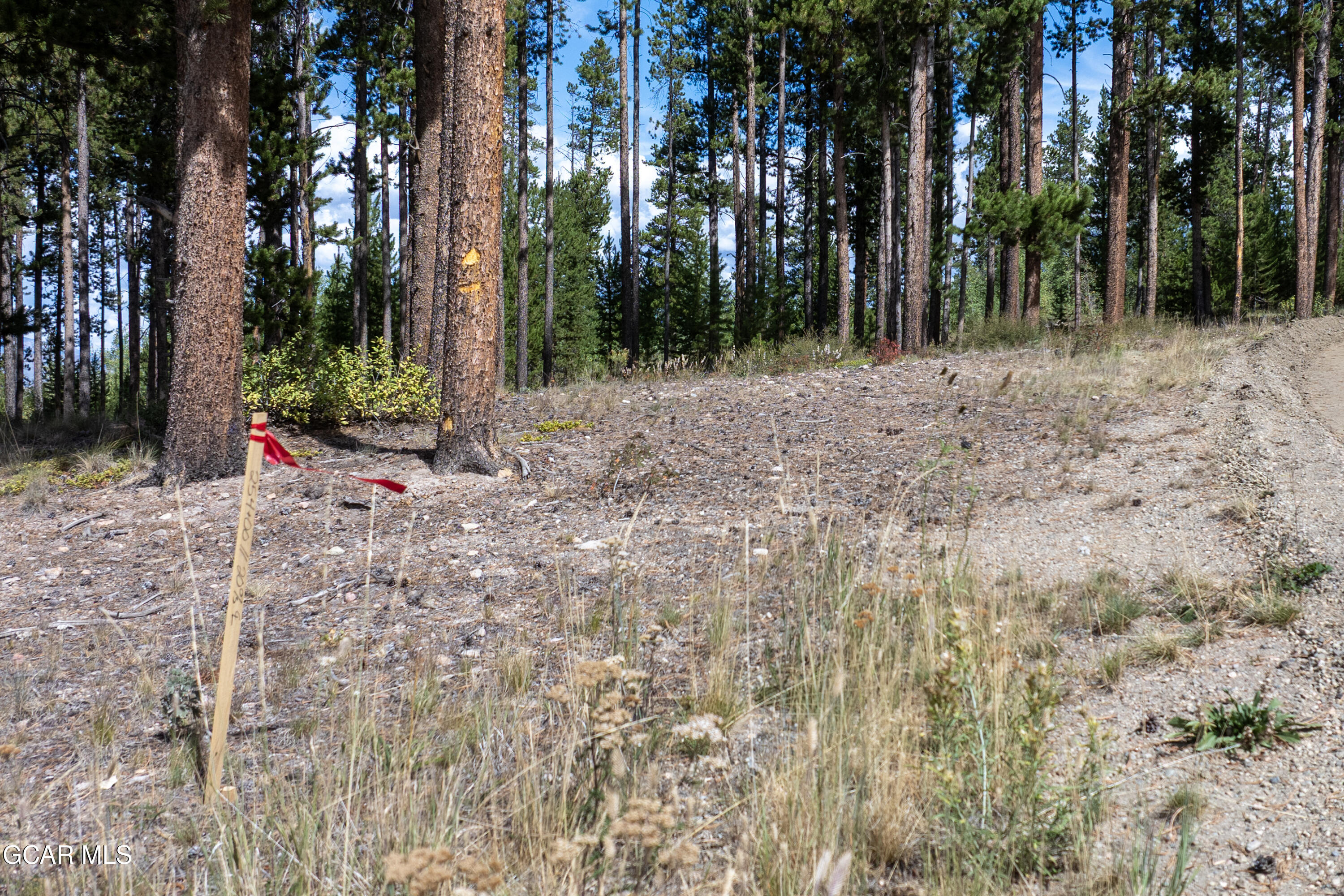 2376 Gcr 511/golf Course Circle Tabernash, CO 80478 - Photo 6 of 14 a view of road and trees