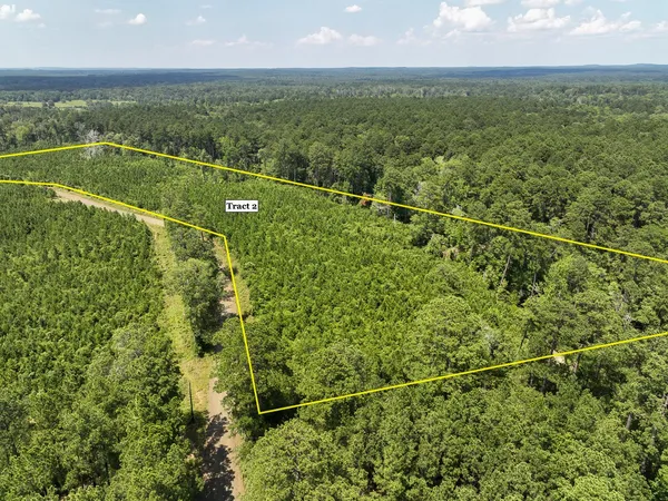 $89,011 | 2 Fire Tower Drive, Hemphill, TX 75948