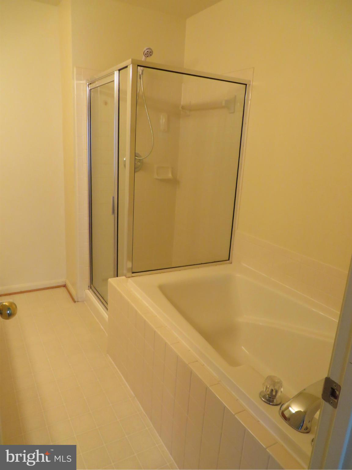 2003 Cramer Point Court Odenton, MD 21113 - Photo 16 of 23 Bath (Master)