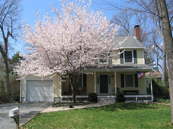 17 Winslow Road Natick, MA 01760 - Photo 1 of 29