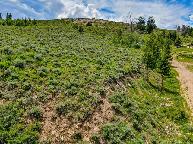 a view of a green field with lots of bushes