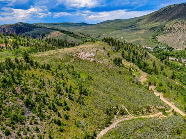a view of a lush green field with a mountain in the background
