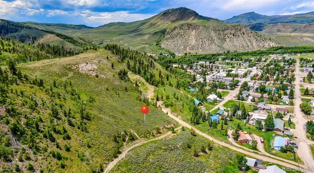 a view of a yard with plants and large trees
