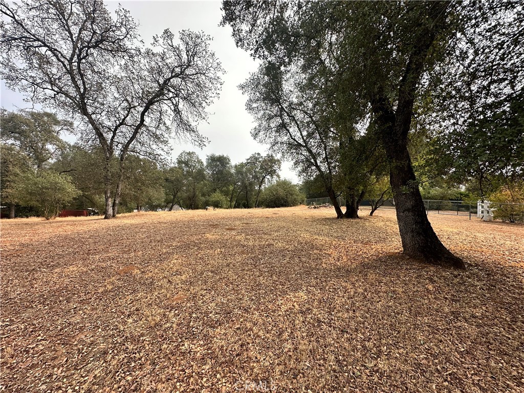 0 Mt Ida Road Oroville, CA 95966 - Photo 2 of 6 Gallery Image 2