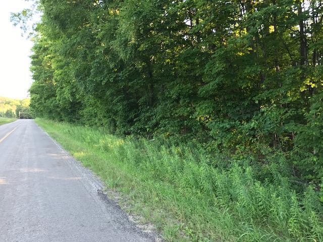 Cherwinski Road Gaylord, MI 49735 - Photo 8 of 17 Gallery Image 8