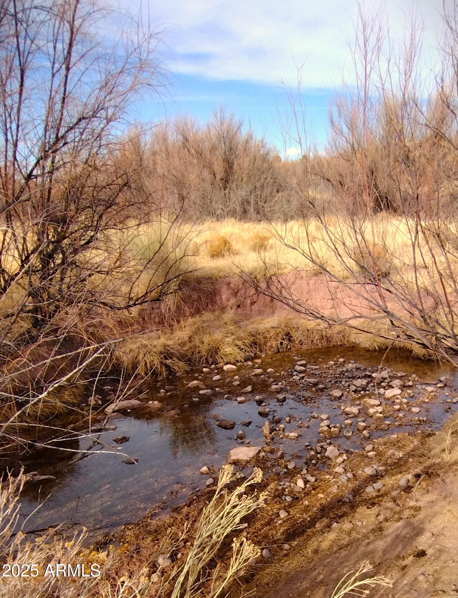 Lot 95 River Springs Ranch, Unit 95 St. Johns, AZ 85936 - Photo 11 of 27 RSR.95.river