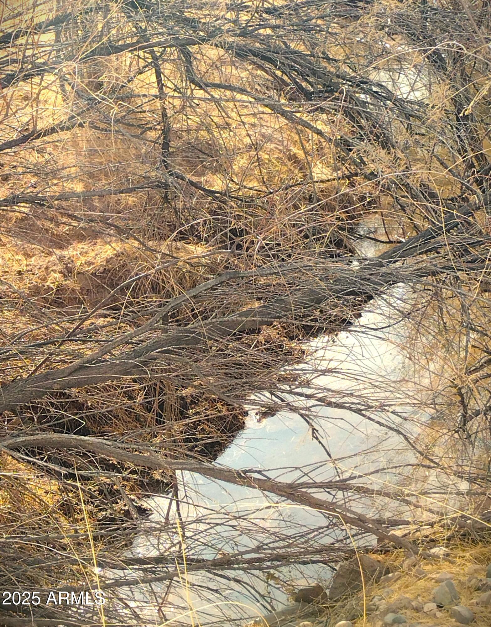 Lot 95 River Springs Ranch, Unit 95 St. Johns, AZ 85936 - Photo 13 of 27 RSR.95.river3