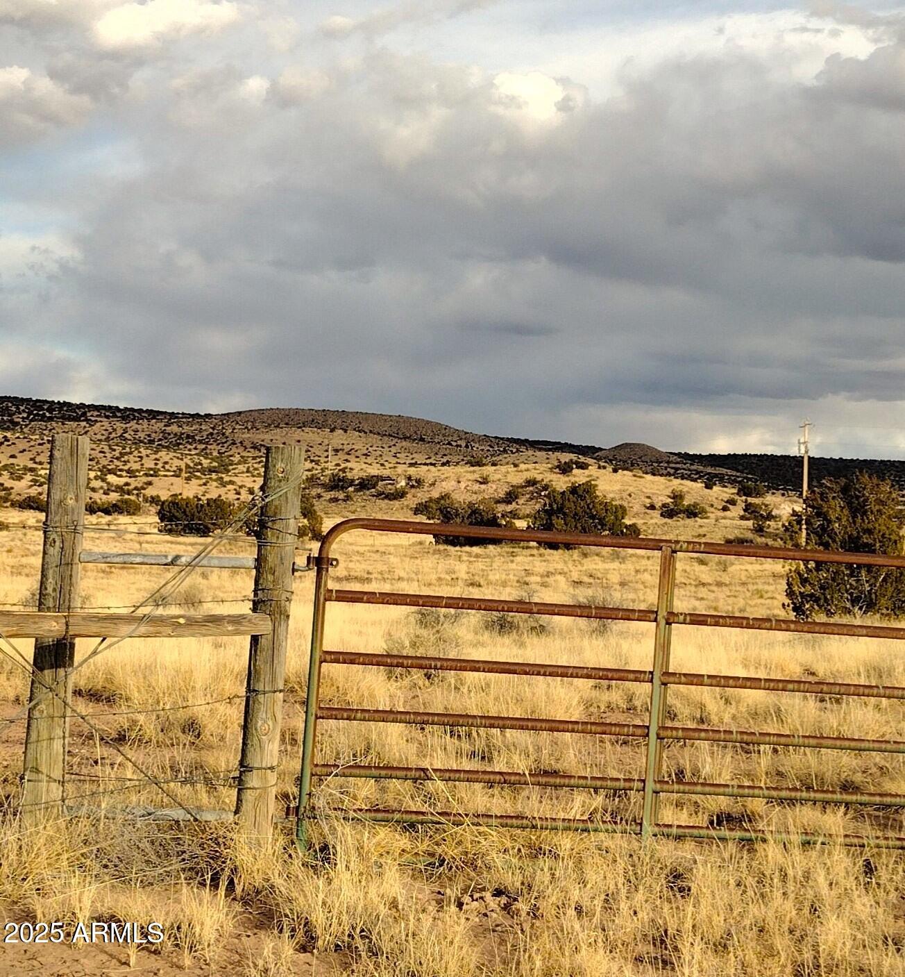 Lot 95 River Springs Ranch, Unit 95 St. Johns, AZ 85936 - Photo 17 of 27 RSR.95.3