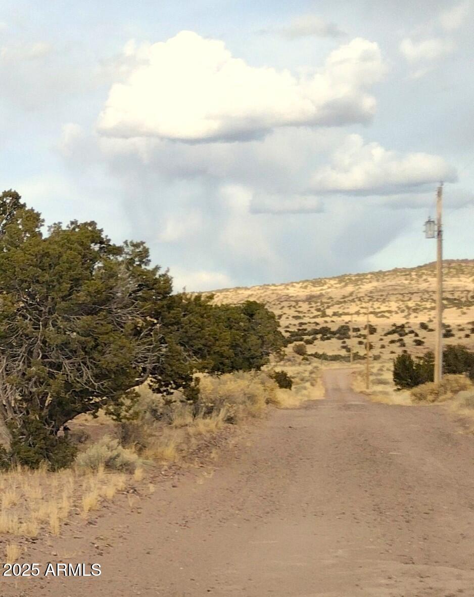 Lot 95 River Springs Ranch, Unit 95 St. Johns, AZ 85936 - Photo 18 of 27 RSR.95.7