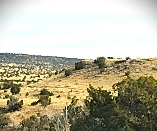 $107,900 | Lot 95 River Springs Ranch, Unit 95, St. Johns, AZ 85936