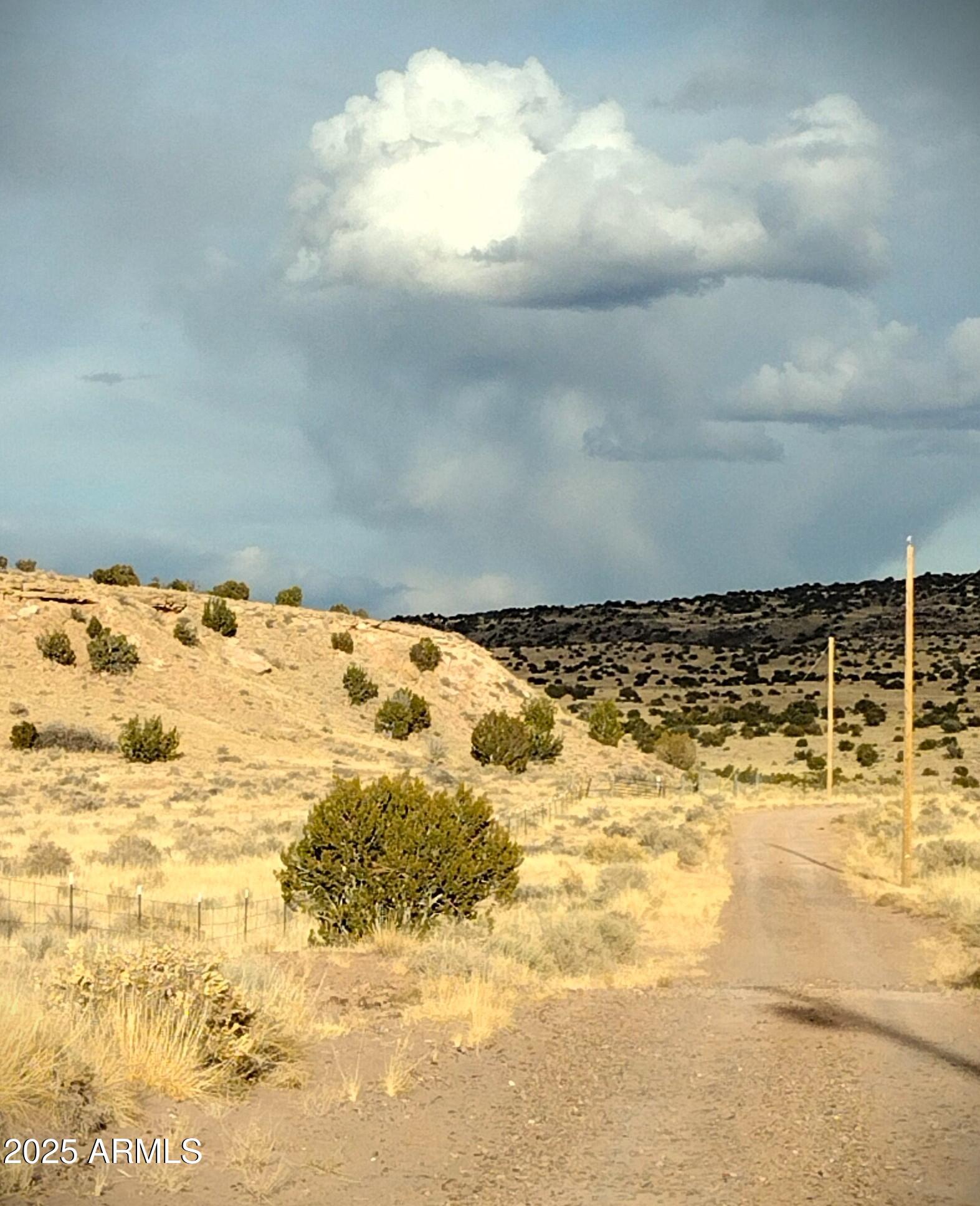 Lot 95 River Springs Ranch, Unit 95 St. Johns, AZ 85936 - Photo 20 of 27 RSR.95.11