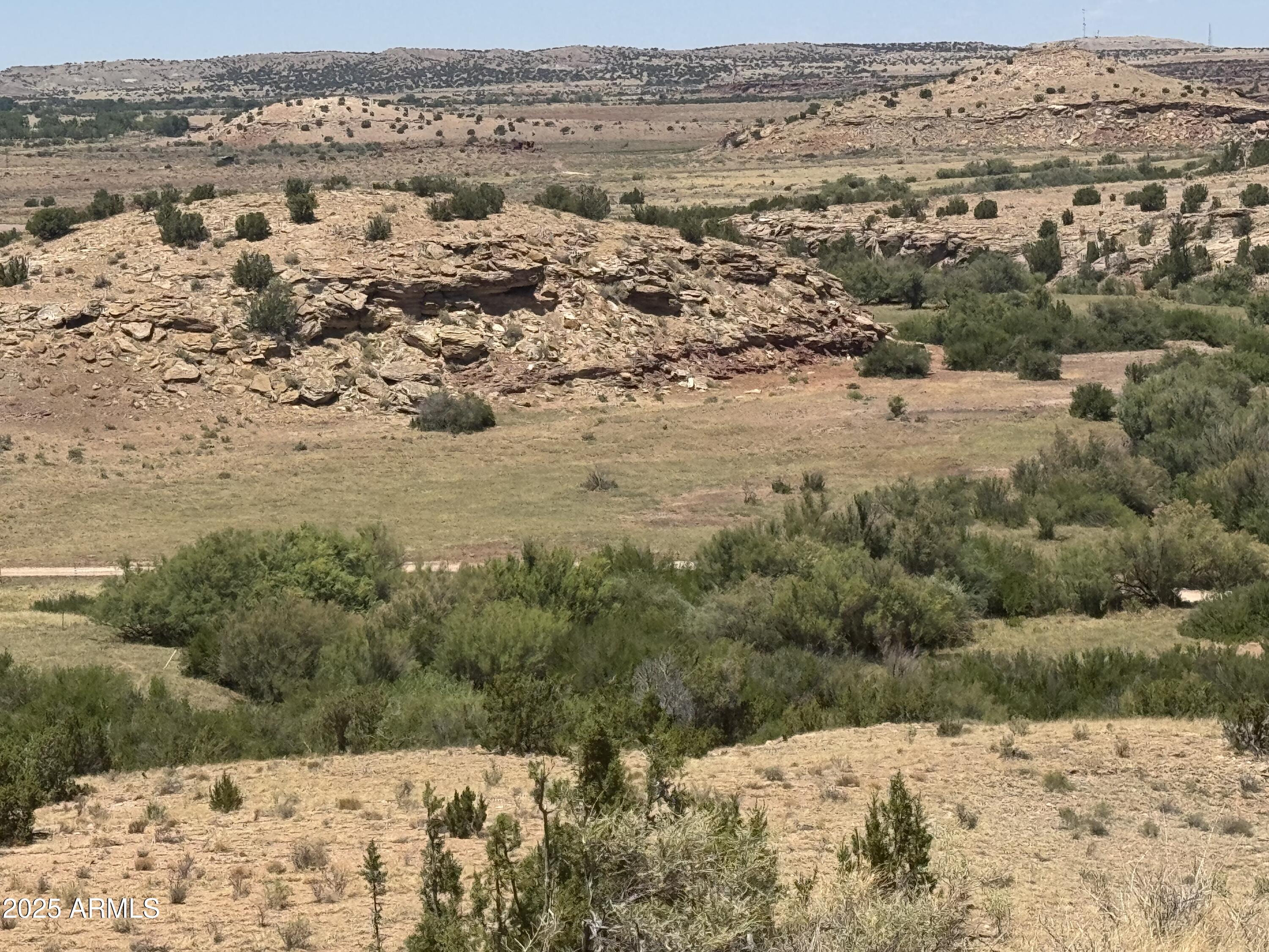 Lot 95 River Springs Ranch, Unit 95 St. Johns, AZ 85936 - Photo 2 of 27 IMG_8713